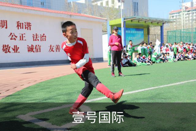 壹号国际公司简介图片